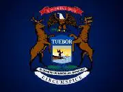 Michigan votes may count after all