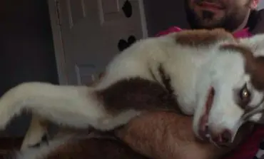 Hamdan's arrest: Disagreeing with the law is not an excuse to break it