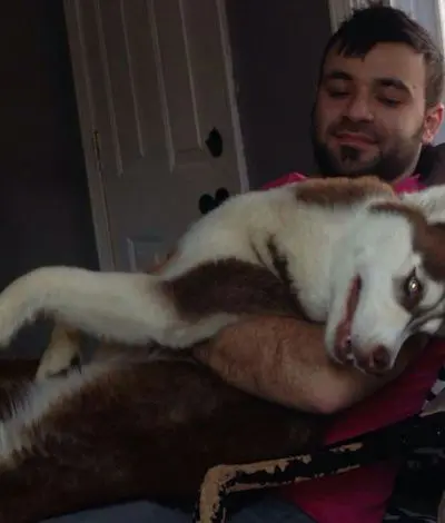 Hamdan's arrest: Disagreeing with the law is not an excuse to break it