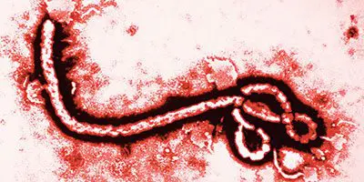 10 being monitored in Michigan for Ebola