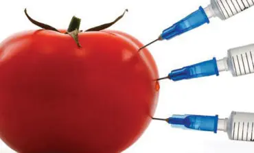 Vermont becomes the first state to label GMOS