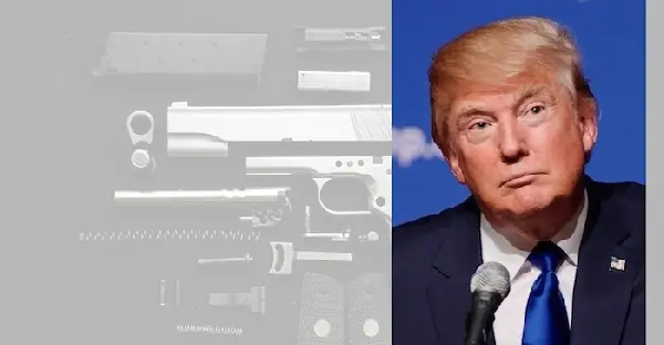 Trump says 'Second Amendment people' can deal with Clinton