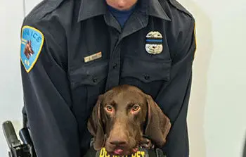 Suspect arrested in fatal shooting of WSU police officer