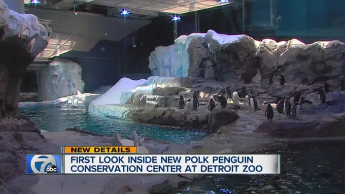 The Detroit Zoo breaks annual attendance record with more than a million visitors