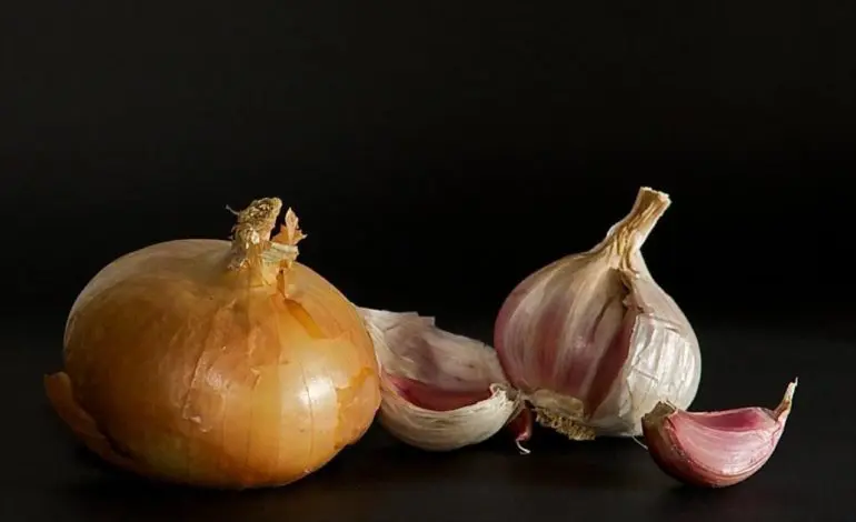 Getting to know your gut