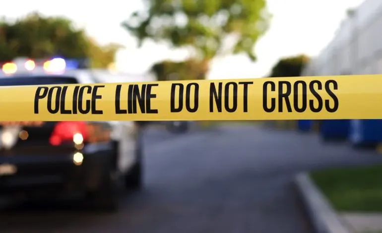 Dearborn police seek public's help in search for Corvette thieves