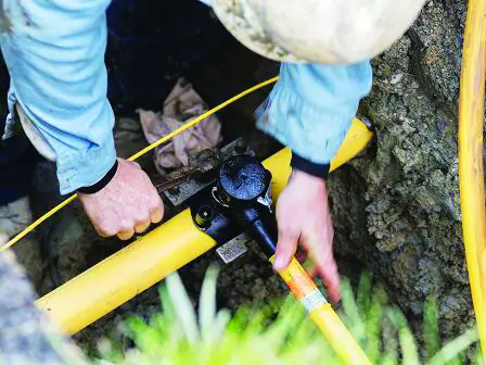 DTE Energy to hold informative meeting about gas meters renewal in Dearborn