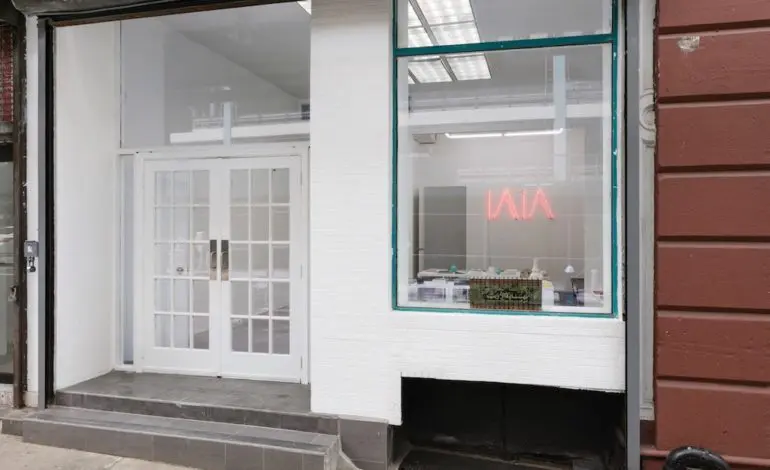 First Institute of Arab and Islamic Art opens in New York