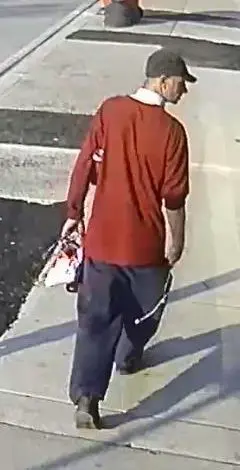 Police looking for man who robbed 13-year-old's phone