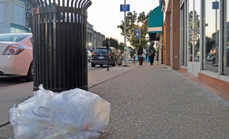 Hamtramck councilman under fire for blaming trash problem on immigrants