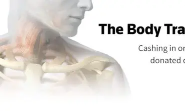 In the U.S. market for human bodies, almost anyone can dissect and sell the dead