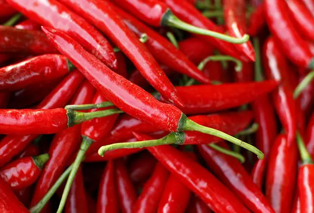 Can spicy foods curb salt cravings or lower blood pressure?
