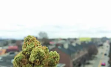 Michigan voters will decide whether to legalize recreational marijuana next year