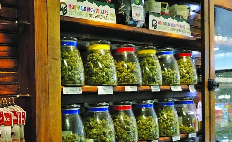 Dearborn Heights man pleads guilty to bribing officials for pot dispensary