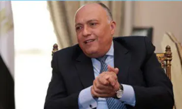 Al-Ahram: Egypt says sending Arab troops to Syria a possibility