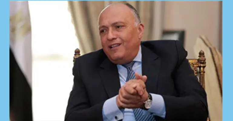 Al-Ahram: Egypt says sending Arab troops to Syria a possibility