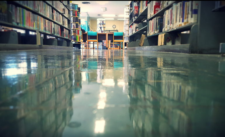 How libraries remain relevant in the digital age