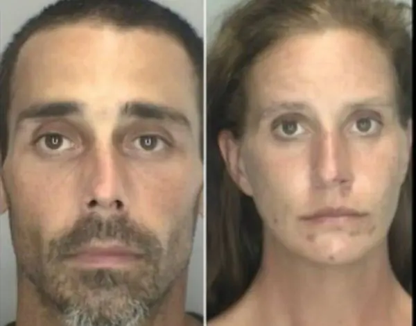 Couple charged in carjacking of 88-year-old Livonia woman