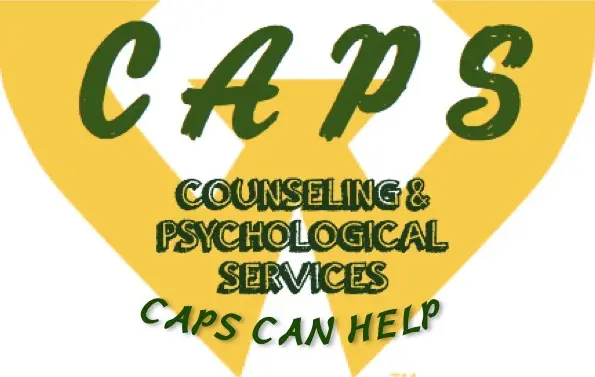 Wayne State University offers counseling for Muslim women on campus