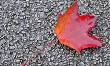 Dearborn loose leaf collection to begin Oct. 29