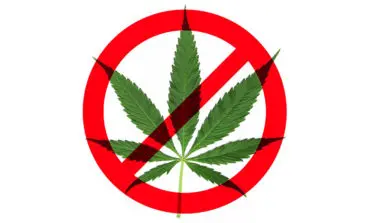 Opponents of Michigan pot legalization proposal speak out