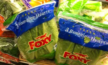 Abstain from romaine: U.S., Canada warn of E. coli in lettuce
