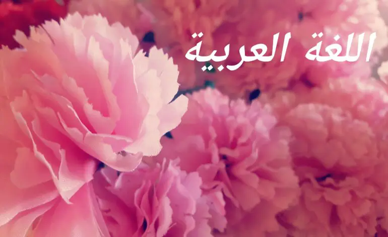 How do Arab Americans celebrate ‘World Arabic Language Day’?