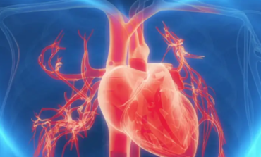 Lack of sleep tied to increased risk of heart disease in new study