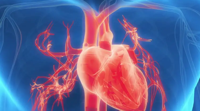 Lack of sleep tied to increased risk of heart disease in new study