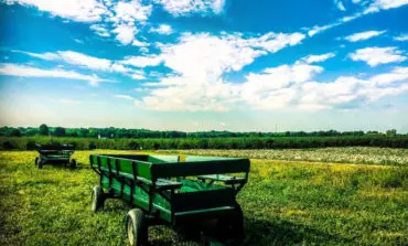 How do residents in the Metro area celebrate Earth Day?