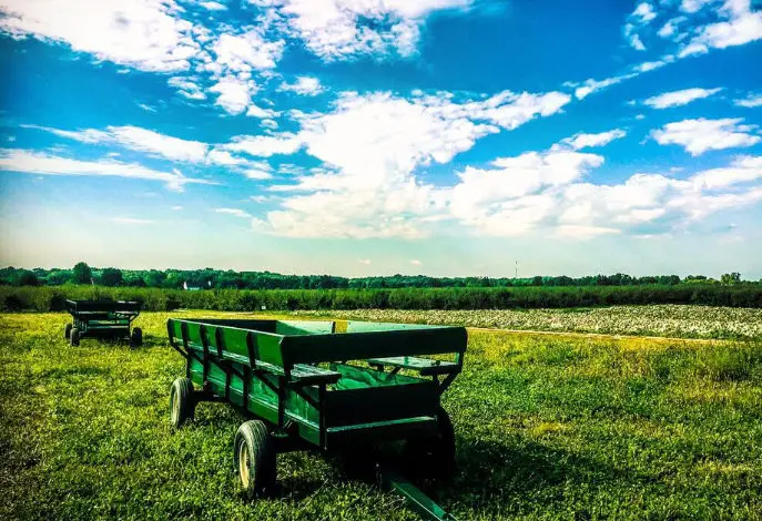 How do residents in the Metro area celebrate Earth Day?