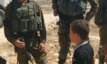 U.S. Rep. Dingell grilled by local activists for backing down on co-sponsoring bill protecting Palestinian children under occupation