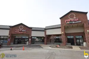 Papaya Fruit Market in Canton.