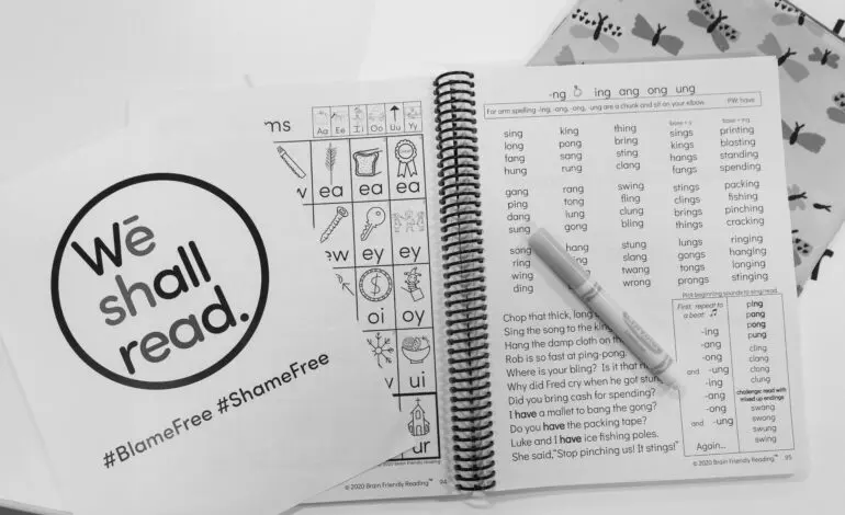 We Shall Read partnering with Dearborn Public Library to offer bilingual reading workshops for parents