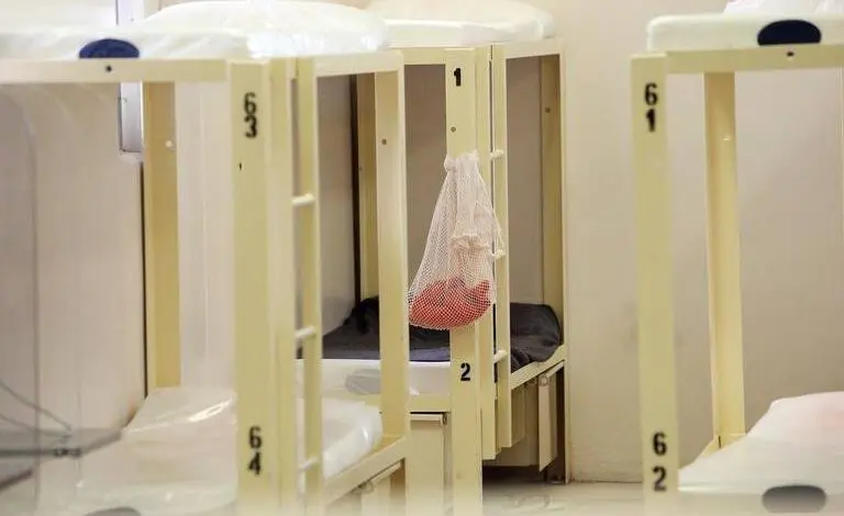 Tlaib, Omar, Carson call for investigation into ICE feeding pork to Muslim detainees