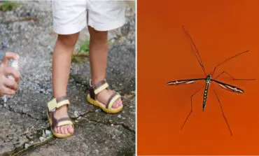 Health officials: First mosquito-borne virus of 2022 detected in Michigan