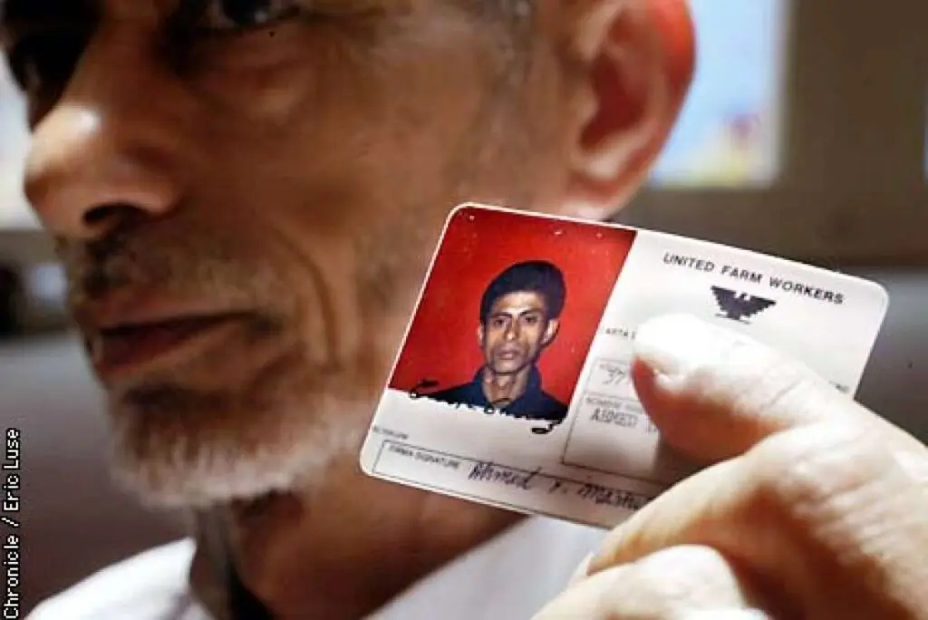 Ahamed Yahya Masherah's 1972 AFW ID card which he still carries to this day. He worked with and was a friend of Naji Daifullah in Kern County. He now lives in SF. Nagi Daifullah was shot and killed August 15, 1973 by the Kern County California Sheriffs during the grape strike with Ceaser Chavez's United Farm Workers. He will be honored August 17th by union organizers with San Francisco Janitors. BY ERIC LUSE/THE CHRONICLE