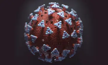 State monitoring COVID-19 variant, restaurants to reopen on schedule