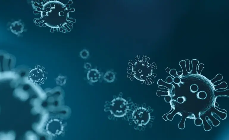 CDC updates report on new COVID strain