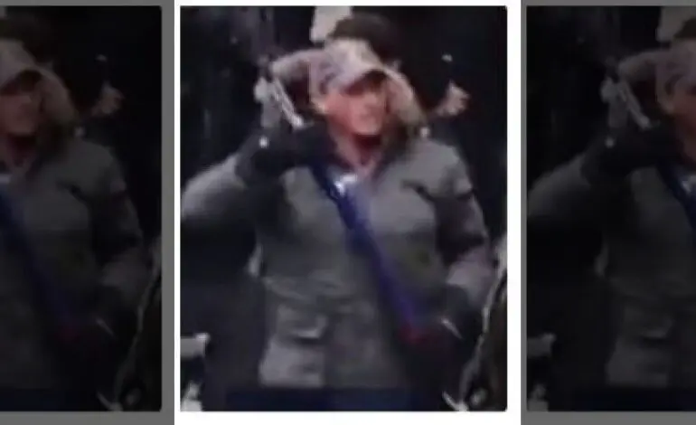 Westland man charged in assault of police officer with hockey stick during Capitol Riot