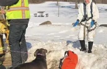 Dearborn Heights Fire Department, animal control and sewer workers work together to save a dog’s life