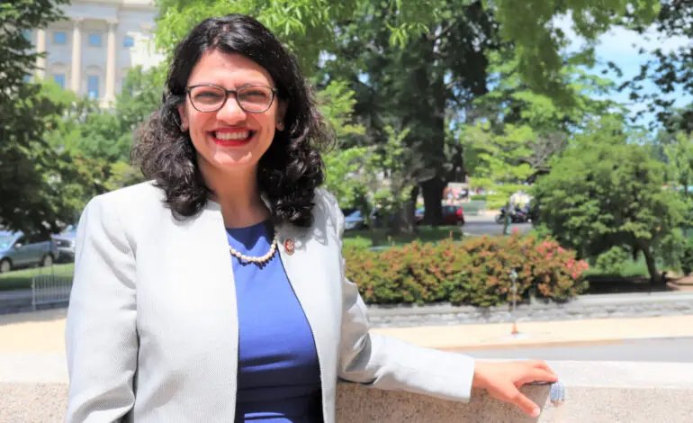 Rashida Tlaib to host virtual town hall with the IRS and FEMA