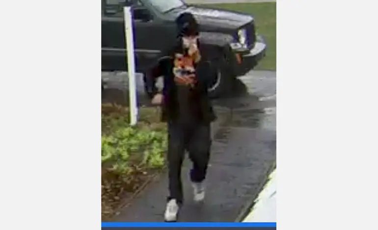 Dearborn police seeking help identifying home invasion suspect