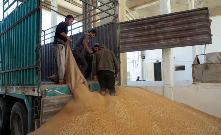 In Syria, a poor wheat harvest adds to food worries