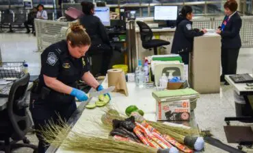 If you're planning to travel to the U.S. with food items from overseas, read this