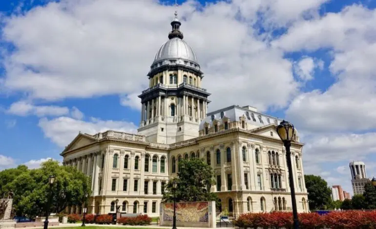 Bill requiring Arab Americans be counted in state data progresses to Illinois House vote