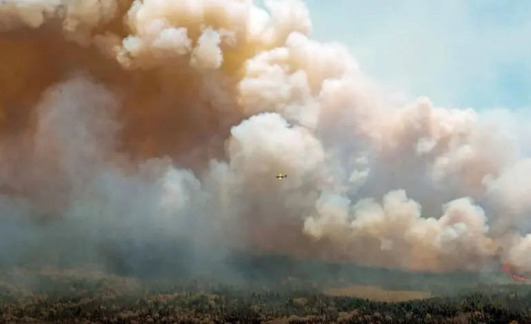 Detroit air quality harmed as Canadian wildfire smoke spreads into the United States