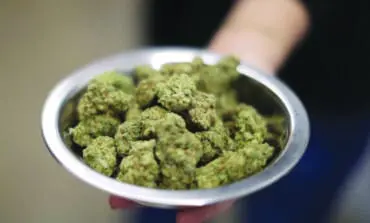 U.S. unveils proposal to ease restrictions on marijuana