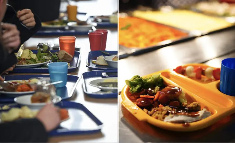 Michigan lawmaker pushes a bill to ban artificial dyes, additives in school food