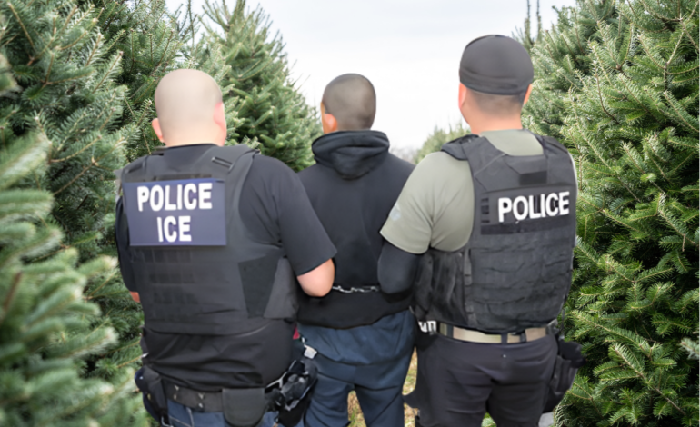 For immigrant families, a “Christmas of immense pain”